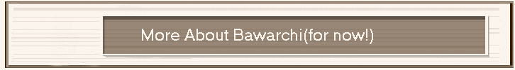 More About Bawarchi(for now!)