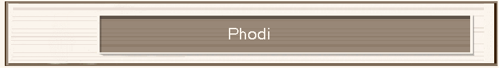 Phodi